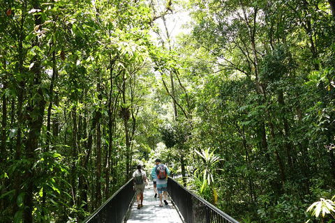 Daintree Dreaming Traditional Aboriginal Fishing From Cairns Or Port Douglas - Flights 3