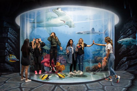 ArtVo Immersive Gallery Experience - Flights 2