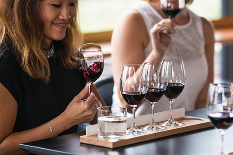 Adelaide Hills Regional / Hahndorf German Village Tour - Flights 5