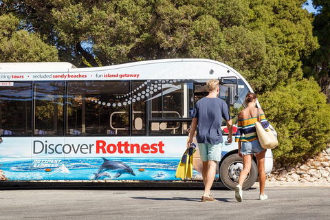 Discover Rottnest With Ferry & Bus Tour From Perth Or Fremantle - Flights 1