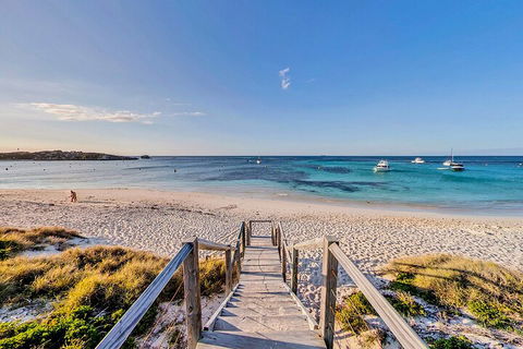 Discover Rottnest With Ferry & Bus Tour From Perth Or Fremantle - Flights 4