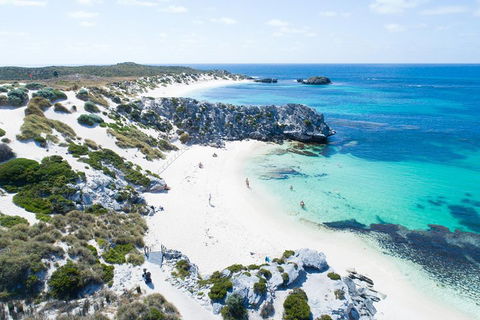 Discover Rottnest With Ferry & Bus Tour From Perth Or Fremantle - Flights 5