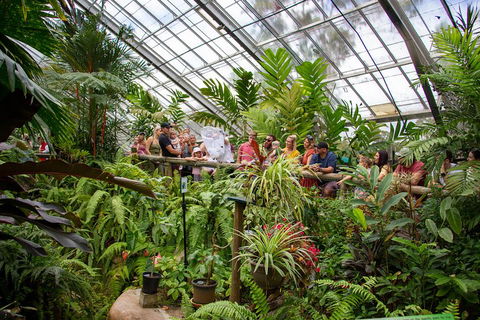 Australian Butterfly Sanctuary - Flights 0