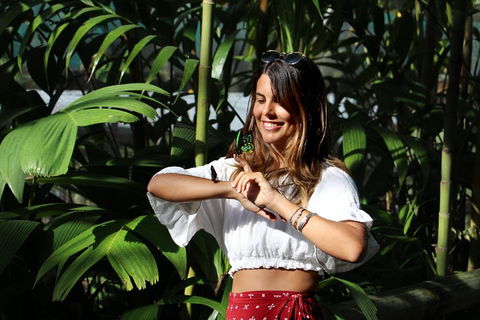 Australian Butterfly Sanctuary - Flights 1