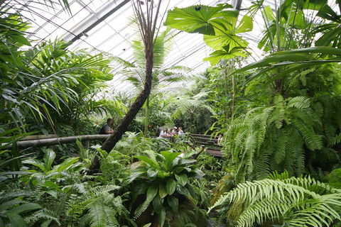 Australian Butterfly Sanctuary - Flights 3
