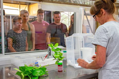 Australian Butterfly Sanctuary - Flights 5