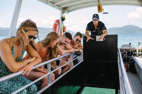 Fitzroy Island Day Trip From Cairns - Flights 4