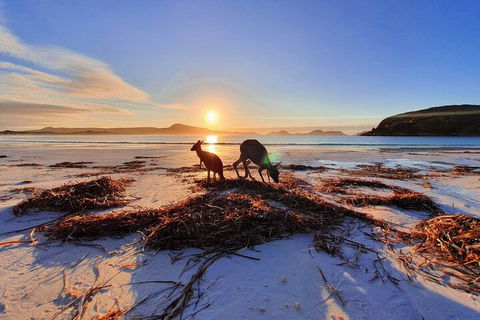 10-Day Perth To Adelaide Adventure Tour - Flights 1