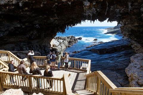 Full Day Flinders Chase Tour From Kangaroo Island - Flights 1
