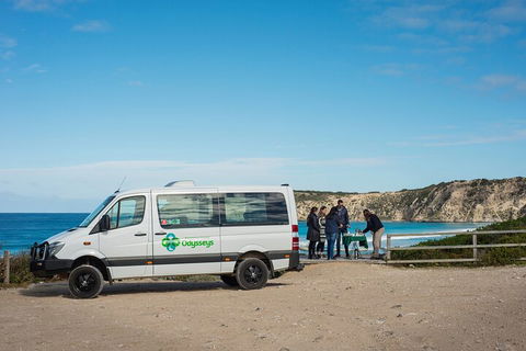 Full Day Flinders Chase Tour From Kangaroo Island - Flights 3