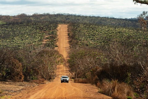 Full Day Flinders Chase Tour From Kangaroo Island - Flights 4