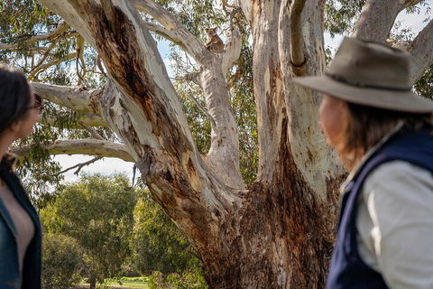 Full Day Flinders Chase Tour From Kangaroo Island - Flights 5