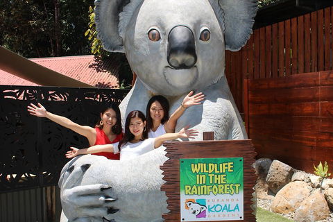 Kuranda Koala Gardens And Birdworld Admission Tickets - Flights 3