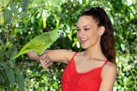 Kuranda Wildlife Experience Three Attraction Pass - Flights 1