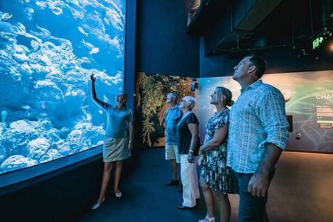 Cairns Aquarium By Twilight With 3-Course Dinner - Flights 1