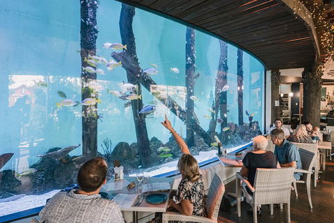 Cairns Aquarium By Twilight With 3-Course Dinner - Flights 4