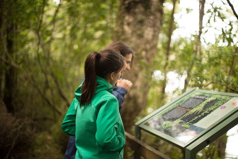 Strahan Day Trip By Air From Hobart Including A Gordon River Cruise - Flights 5