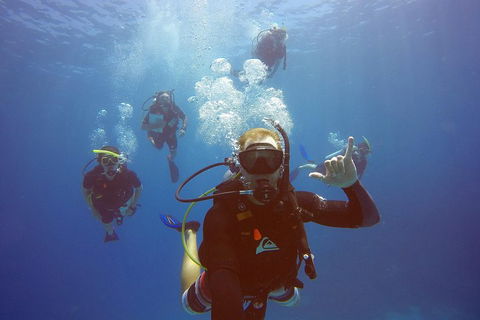 12-Day Great Barrier Reef Marine Conservation Program From Cairns - Flights 0