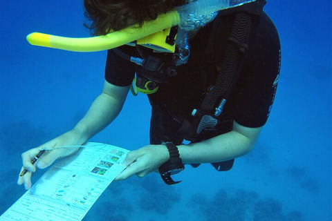 12-Day Great Barrier Reef Marine Conservation Program From Cairns - Flights 2