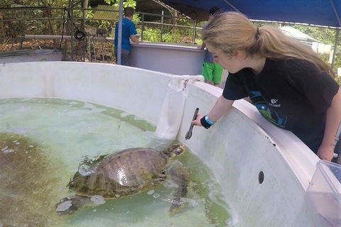 12-Day Great Barrier Reef Marine Conservation Program From Cairns - Flights 4