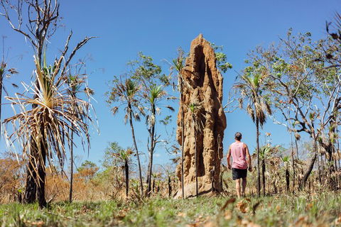 Litchfield National Park Waterfalls And Wildlife Tour From Darwin - Flights 4