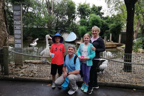 Blue Mountains Private Tour With Kangaroos & Koala Encounter - Flights 4
