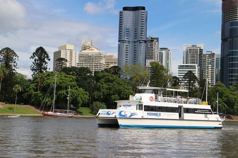 Lone Pine Koala Sanctuary Admission With Brisbane River Cruise - Flights 2