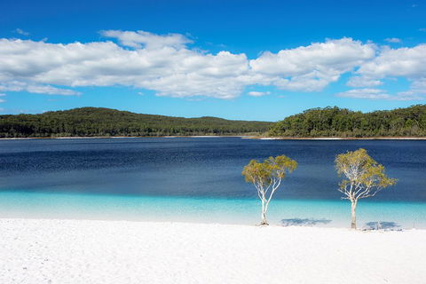 All-Inclusive Fraser Island Day Tour - Flights 3