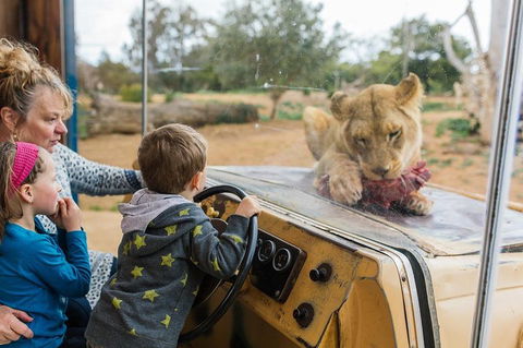Werribee Open Range Zoo General Admission Ticket - Flights 4