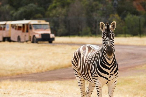 Werribee Open Range Zoo General Admission Ticket - Flights 5