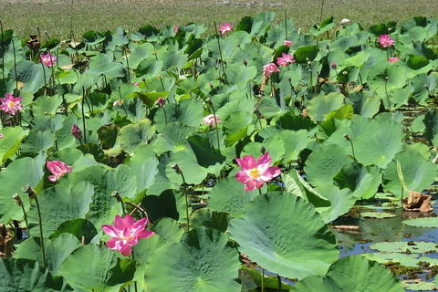 Darwin To Kakadu Day Trip By Air Including Yellow Water Cruise - Flights 2