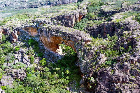 Darwin To Kakadu Day Trip By Air Including Yellow Water Cruise - Flights 4
