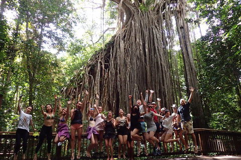 Atherton Tablelands Waterfalls Tour From Cairns - Flights 5