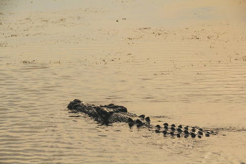 Yellow Water Cruise - Kakadu - Flights 2