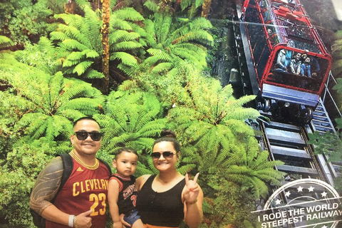 Blue Mountains Private Full-Day Tour From Sydney With Cruise - Flights 3