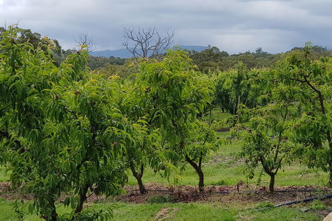 Yarra Valley Wineries And Rayners Orchard Tour From Melbourne - Flights 2