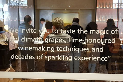 Yarra Valley Wineries And Rayners Orchard Tour From Melbourne - Flights 3