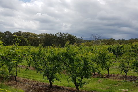 Yarra Valley Wineries And Rayners Orchard Tour From Melbourne - Flights 4