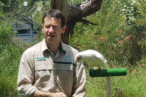 Healesville Sanctuary And Rayners Orchard Tour From Melbourne - Flights 0