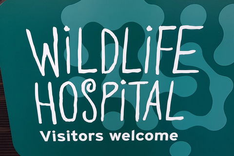 Healesville Sanctuary And Rayners Orchard Tour From Melbourne - Flights 1