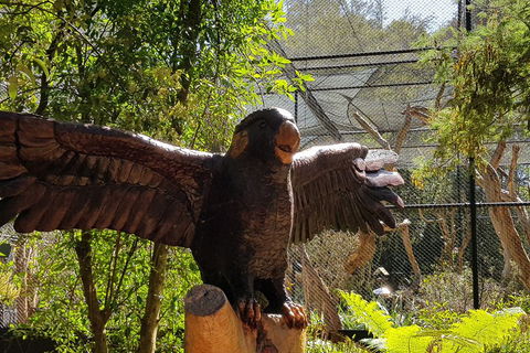 Healesville Sanctuary And Rayners Orchard Tour From Melbourne - Flights 2