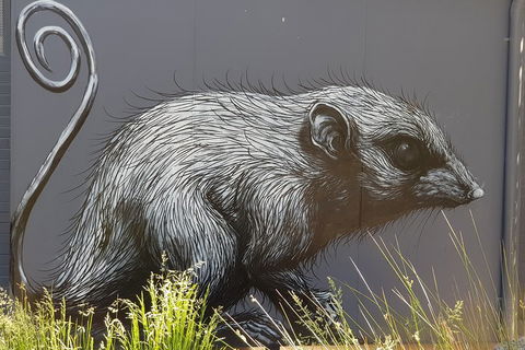 Healesville Sanctuary And Rayners Orchard Tour From Melbourne - Flights 5