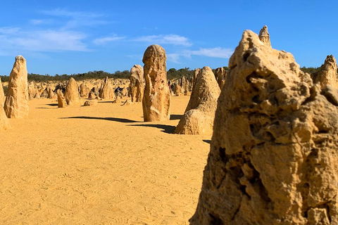 Pinnacles Desert (Private) Day Tour - Flights 0
