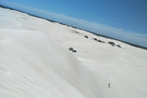 Yanchep & Lancelin - Wildlife, Cave And Sands - Flights 3