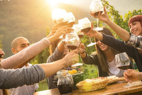 Yarra Valley, Dandenong Ranges Inc. Lunch With Wine,plus Morning Tea,chocolate - Flights 4