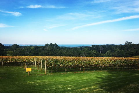 Yarra Valley Private Car Winery Tour And Chocolate.1-7 Passengers One Car Price - Flights 0