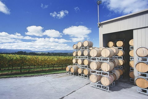 Yarra Valley Private Car Winery Tour And Chocolate.1-7 Passengers One Car Price - Flights 2
