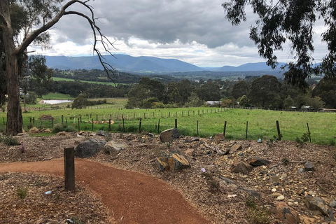 Yarra Valley Wine Tour Inc Lunch With A Glass Of Wine, Tastings And Chocolate - Flights 0