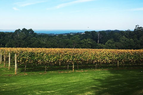 Yarra Valley Wine Tour Inc Lunch With A Glass Of Wine, Tastings And Chocolate - Flights 2