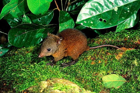 3-Day Small-Group Tour Of North Queensland With Pick Up - Flights 0